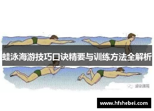 蛙泳海游技巧口诀精要与训练方法全解析